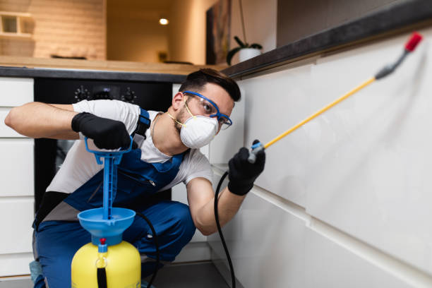 Best Termite Control Services  in Cressona, PA