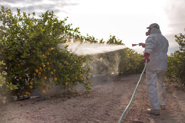 Best Pest Inspection Near Me  in Cressona, PA