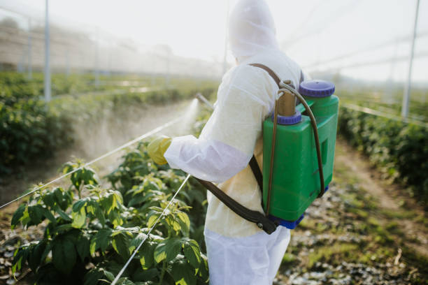 Best Local Pest Control Services  in Cressona, PA